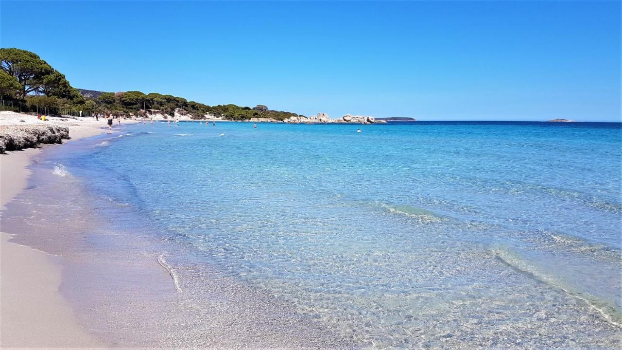 A Altezza Palombaggia Villa Porto-Vecchio  Eksteriør billede