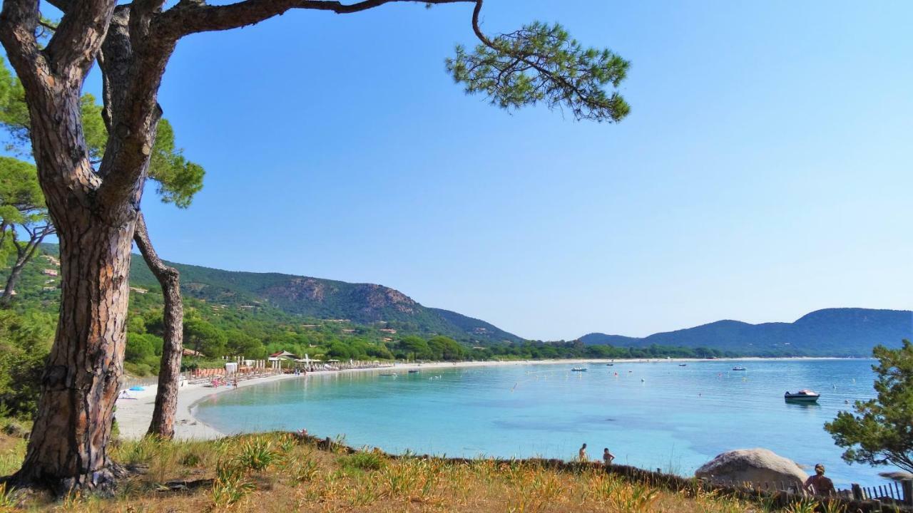 A Altezza Palombaggia Villa Porto-Vecchio  Eksteriør billede