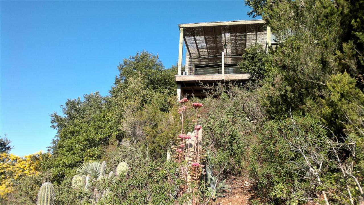 A Altezza Palombaggia Villa Porto-Vecchio  Eksteriør billede